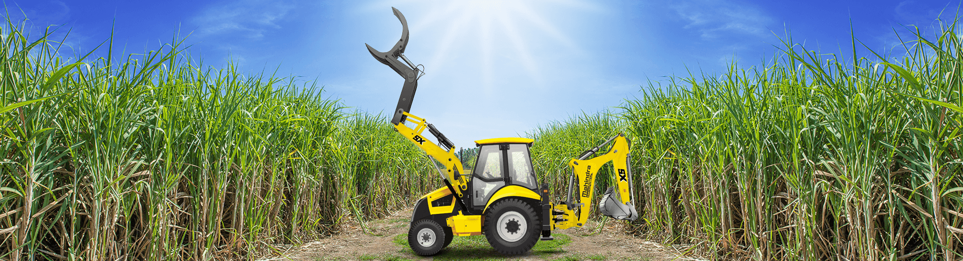 Sugarcane Grabber